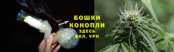 spice Богородск
