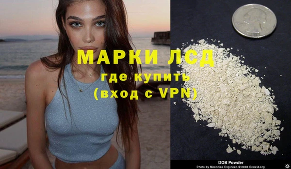 индика Заволжье