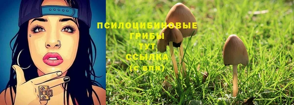 круглые Богородицк