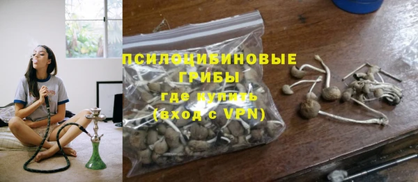 дурь Нея