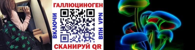 где можно купить наркотик  Каменногорск  Галлюциногенные грибы ЛСД 